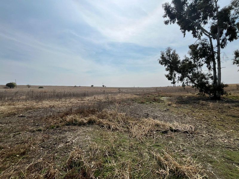 Expansive view of open farm land and natural veld with mature trees on the property.
