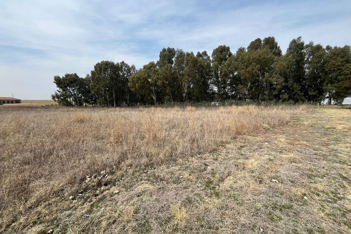 A view of a vacant residential plot featuring natural grassland and a cluster of mature trees.