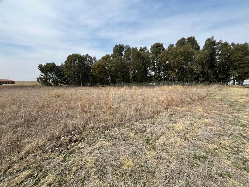 A view of a vacant residential plot featuring natural grassland and a cluster of mature trees.
