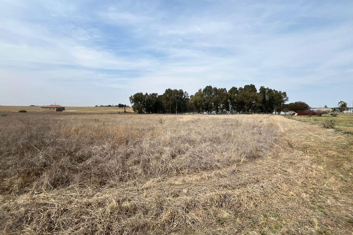A wide-angle view of a vacant residential plot featuring open grassland and a cluster of mature trees in the background.