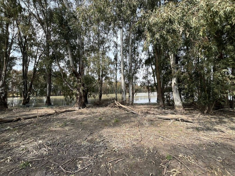 A natural view of a wooded area bordering a body of water, showcasing the landscape potential of the vacant residential land.