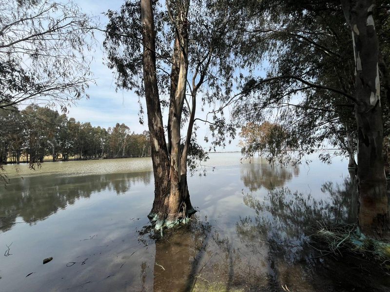 A scenic view of a tranquil waterfront area featuring mature trees along the shoreline, highlighting the natural landscape of the property.