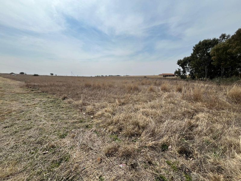 A wide-angle view of a large, undeveloped residential plot featuring dry grass and mature trees on the perimeter.