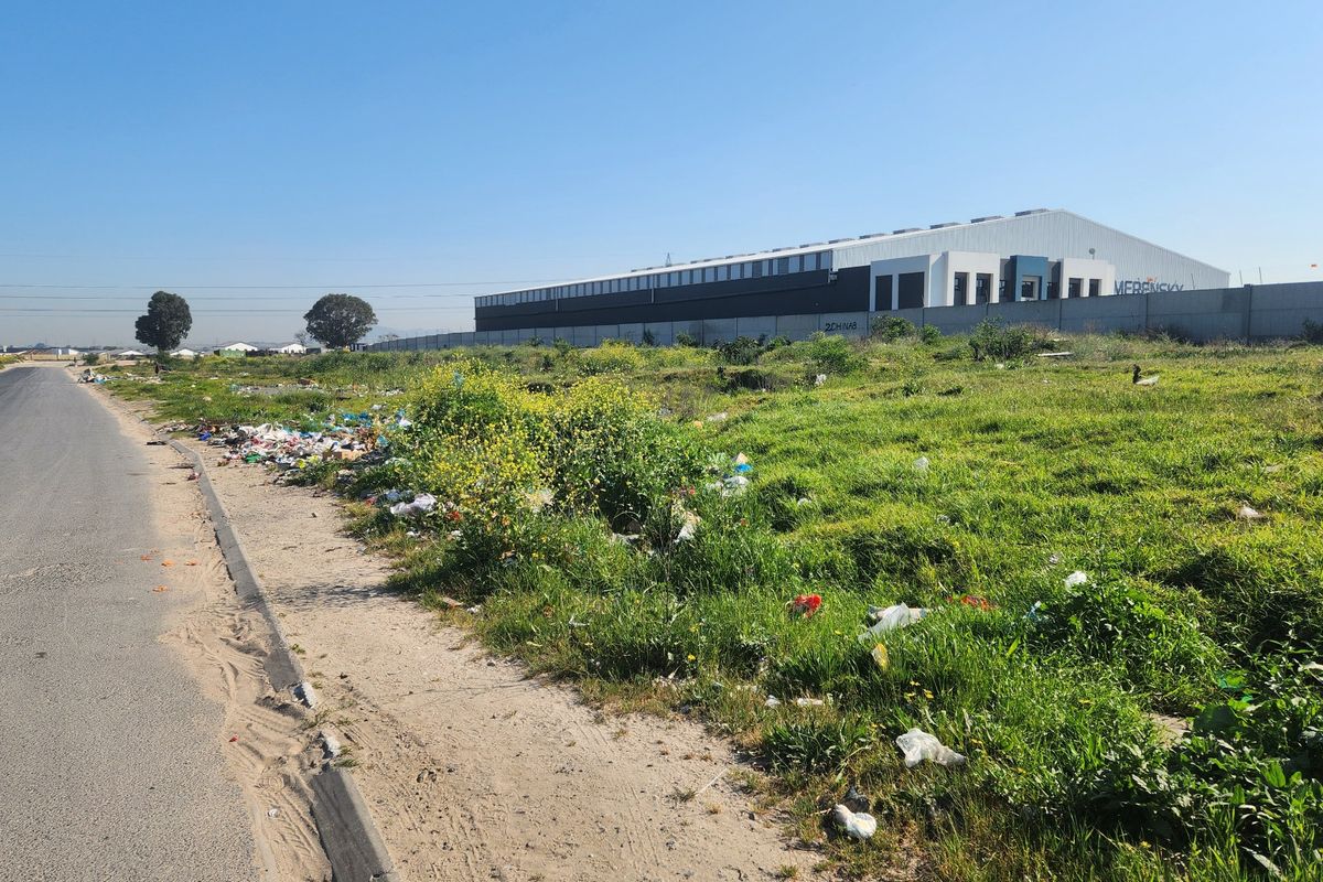 Street view of a vacant residential plot adjacent to an asphalt road, featuring a perimeter wall and significant litter accumulation on the verge.