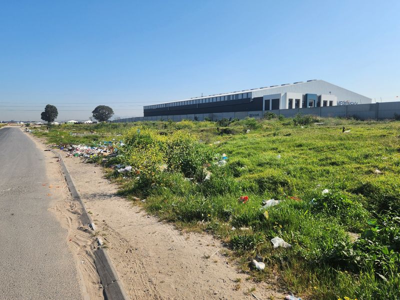 Street view of a vacant residential plot adjacent to an asphalt road, featuring a perimeter wall and significant litter accumulation on the verge.