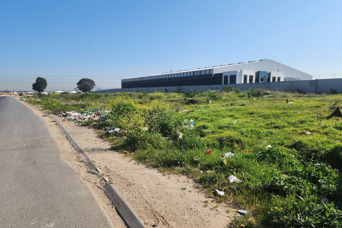 Street view of a vacant residential plot adjacent to an asphalt road, featuring a perimeter wall and surrounding vegetation.