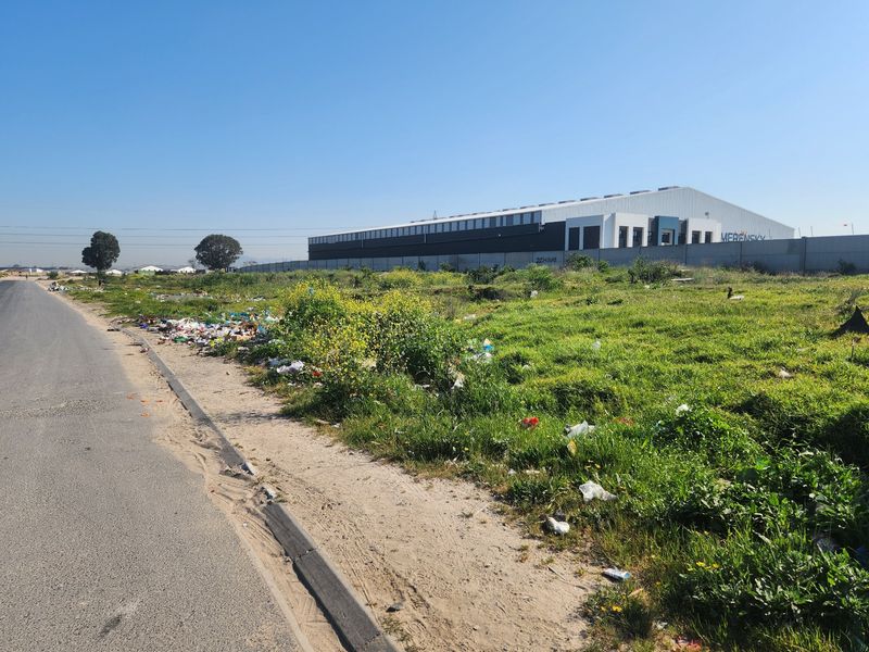 Street view of a vacant residential plot adjacent to an asphalt road, featuring a perimeter wall and surrounding vegetation.
