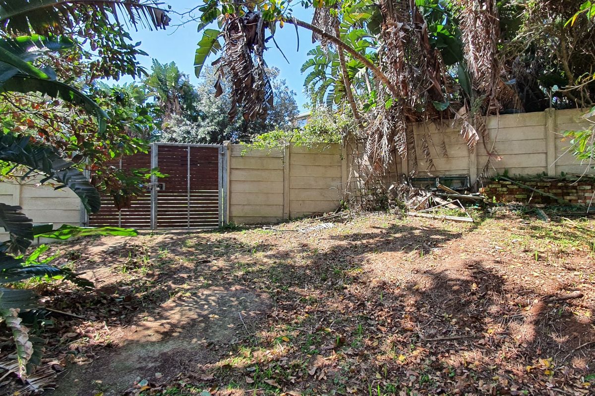 A view of the rear garden area featuring a precast concrete boundary wall, metal gate, and significant overgrown vegetation requiring clearing.