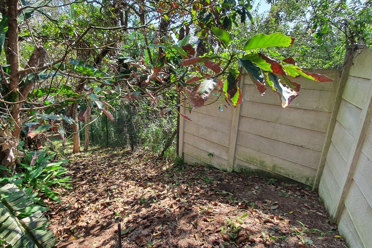 A view of a residential garden area featuring a precast concrete boundary wall and wire mesh fencing, currently requiring maintenance and clearing.