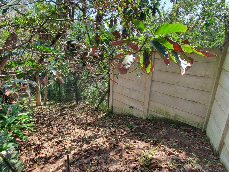 A view of a residential garden area featuring a precast concrete boundary wall and wire mesh fencing, currently requiring maintenance and clearing.