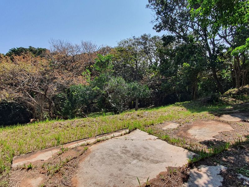 A sloped residential plot featuring mature trees and weathered concrete paving slabs, offering a natural setting for potential development.
