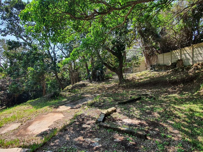 A sloped, wooded residential plot featuring mature trees, stone paving, and a precast concrete boundary wall.