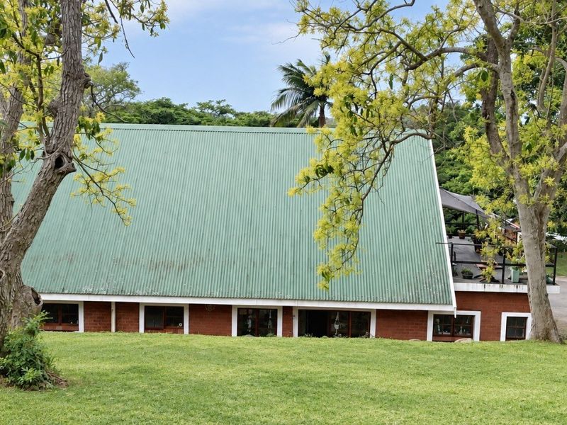 Rear view of a house featuring a large pitched corrugated metal roof, brick exterior walls, and a raised deck area overlooking a garden.