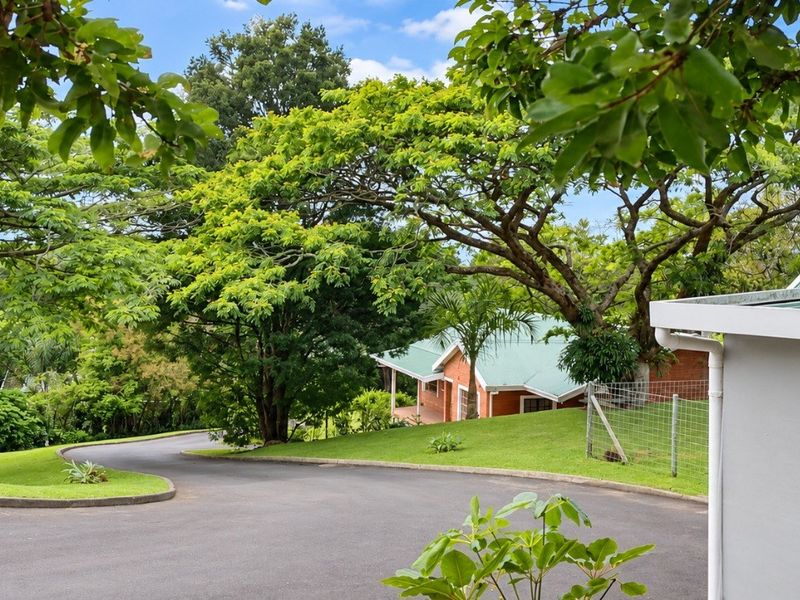 A view of the property entrance featuring a paved driveway, lush green surroundings, and a brick home with a green metal roof.