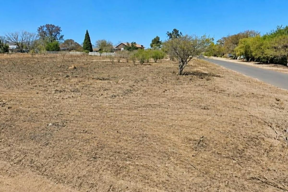 A vacant residential plot of land featuring dry vegetation and direct access to a paved street in a quiet neighborhood setting.