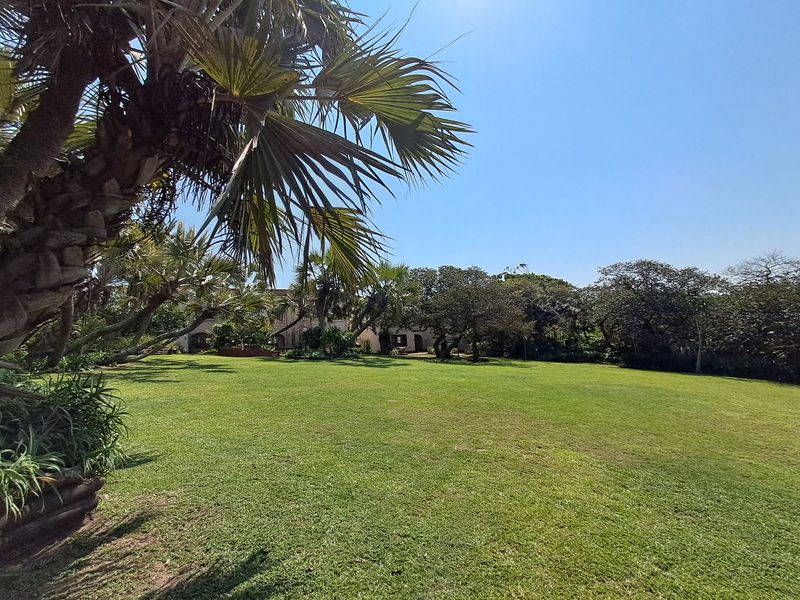 A spacious, well-maintained garden featuring a large manicured lawn surrounded by mature palm trees and established greenery.