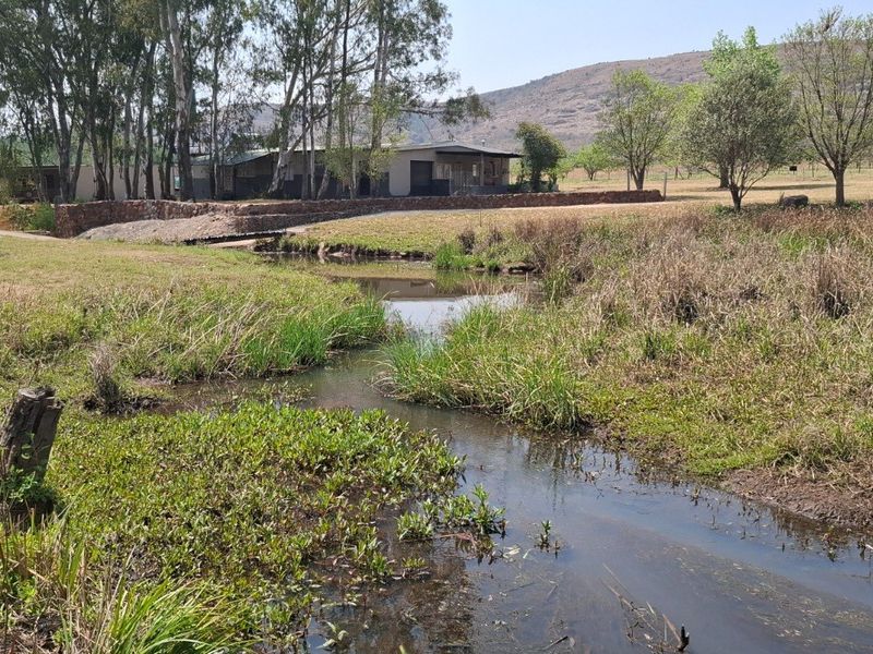 A scenic view of a natural stream flowing through the farm landscape with mature trees and the main dwelling visible in the background.