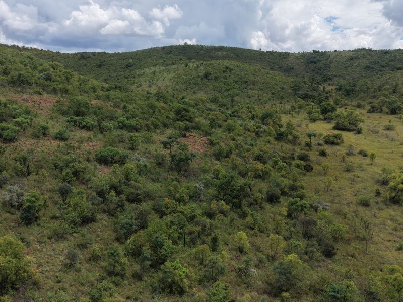 An expansive aerial view of the natural landscape, showcasing the rolling hills and dense indigenous vegetation characteristic of the farm property.