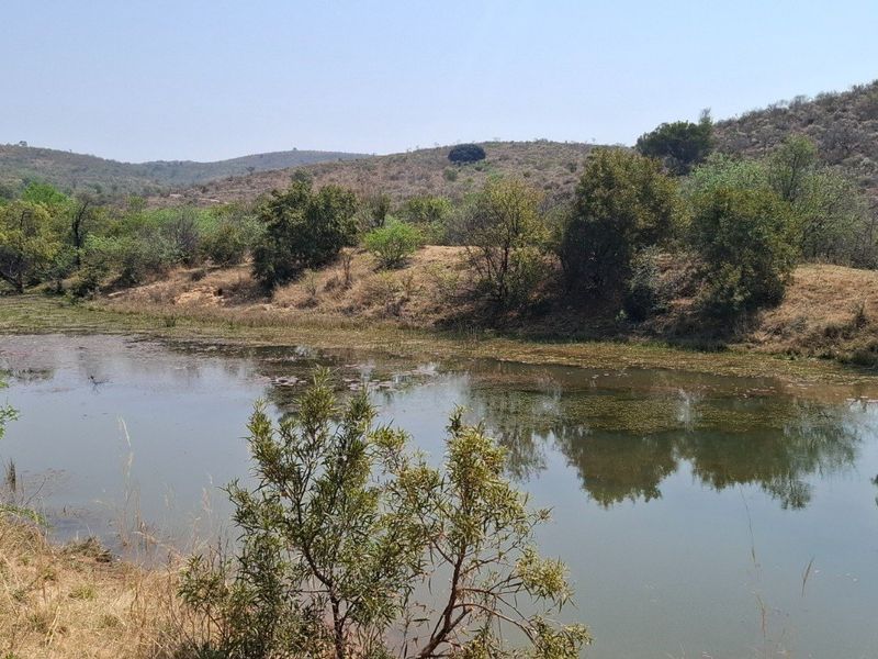 A scenic view of a natural farm dam featuring a small wooden deck on the bank, surrounded by indigenous vegetation and rolling hills.