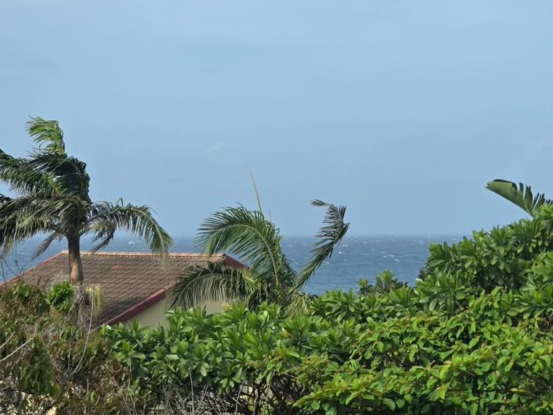 A scenic view of the ocean framed by lush garden foliage and a portion of a tiled roof.
