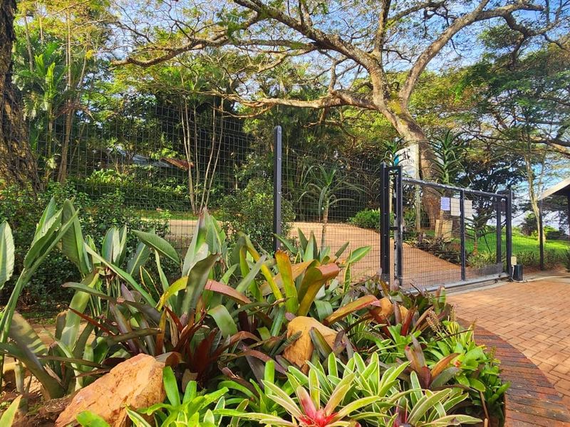 Commercial For Sale In Port Shepstone - Photo 3