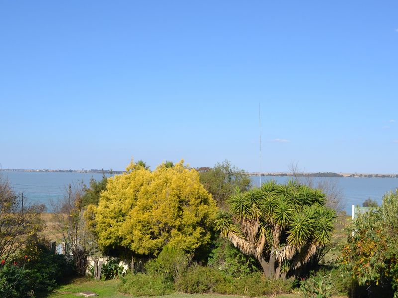 A scenic outdoor view overlooking a large lake, framed by mature trees and natural landscaping.