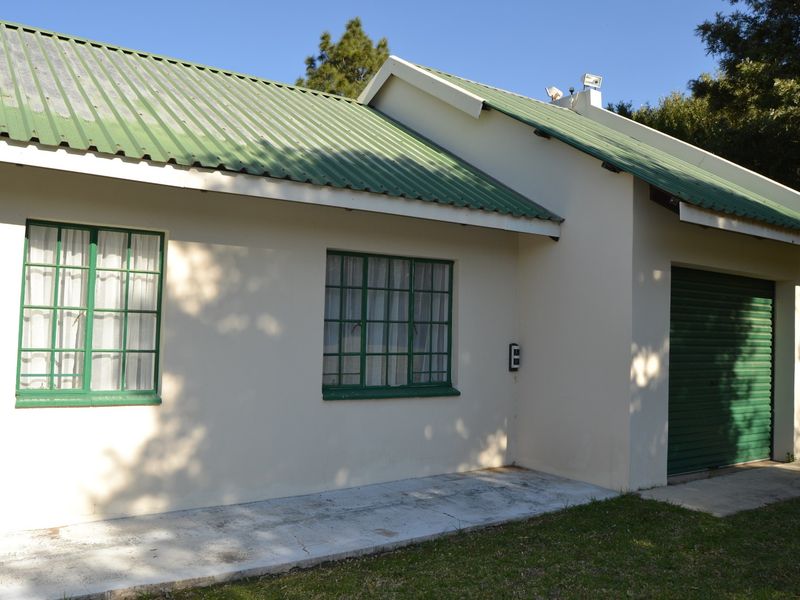 Front elevation of a house featuring a green corrugated metal roof, steel-framed windows, and an integrated roller shutter garage door.