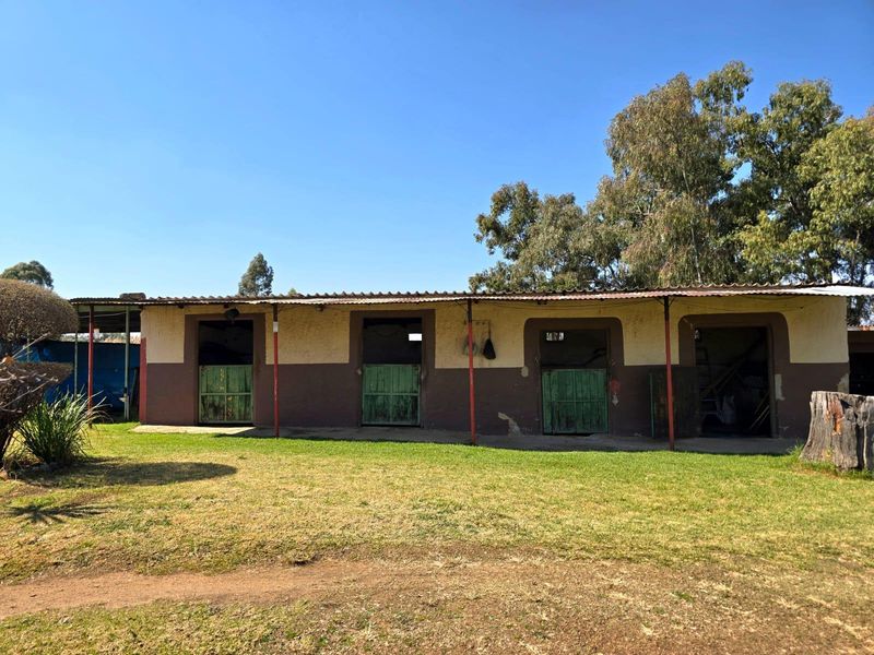 A row of outdoor stables featuring weathered green doors, a corrugated metal roof, and a concrete apron set against a grassy yard.