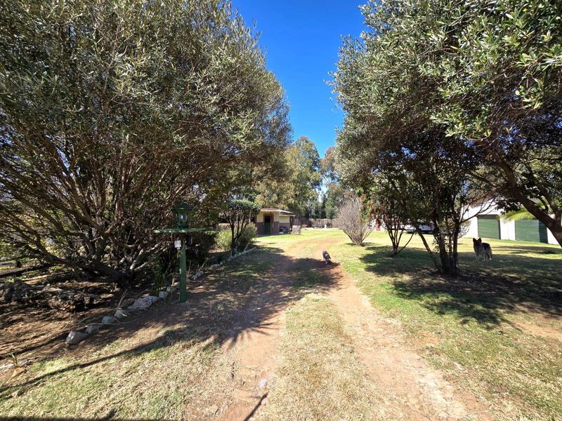 A spacious garden area featuring mature trees, a lawn, and a dirt driveway leading towards a detached outbuilding on the property.