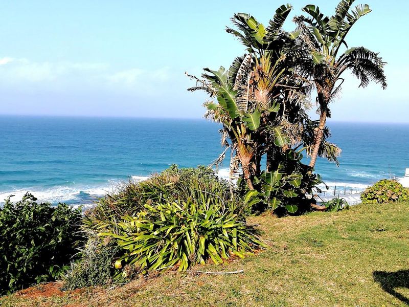 A scenic view of the ocean from the property, featuring established coastal vegetation and a well-maintained garden area.