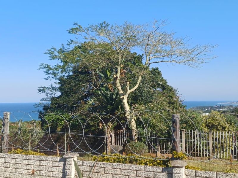 A scenic coastal view featuring mature trees, a secure boundary wall with razor wire, and solar panels installed on a nearby roof.