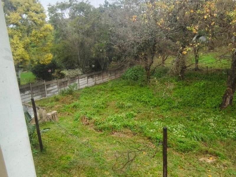 A view of the rear garden area featuring mature trees and a precast concrete boundary wall.