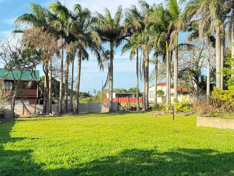 A spacious residential garden area featuring mature palm trees and established boundary walling, offering a private outdoor space.