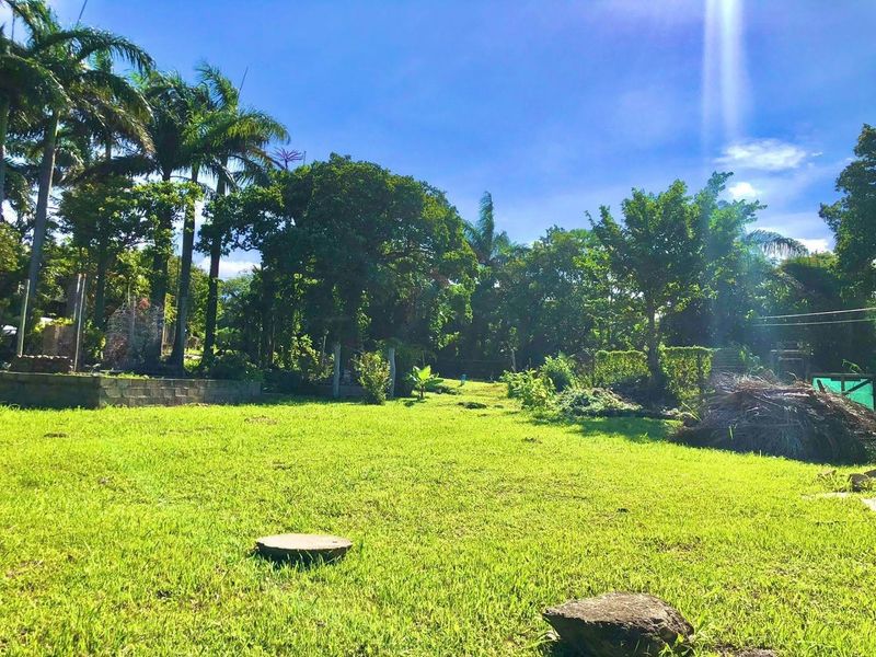 A spacious, sunlit residential garden featuring established trees, a well-maintained lawn, and a stone retaining wall.