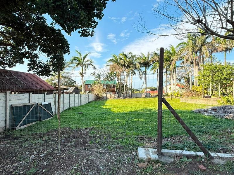 A spacious residential plot featuring established lawn, mature palm trees, and secure boundary fencing, offering a clear area for potential development.