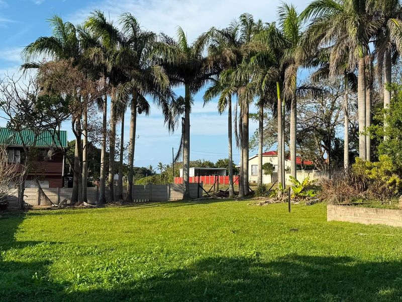 A spacious residential plot featuring established palm trees, a grassed lawn, and secure precast concrete boundary walling.
