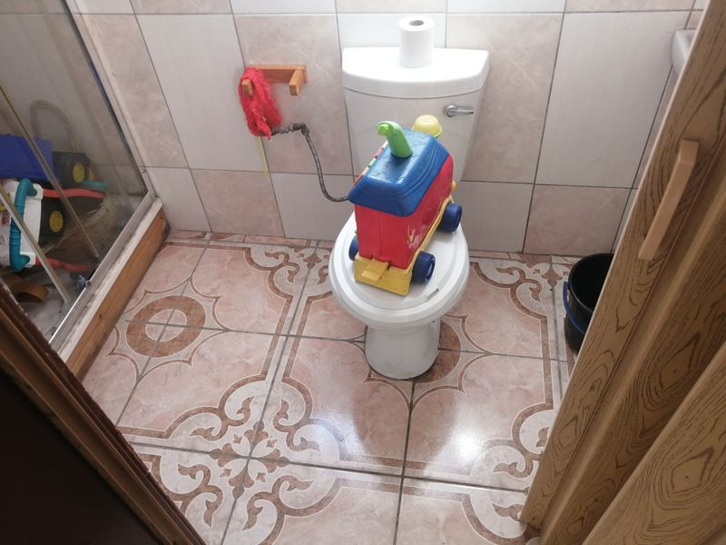 A compact bathroom featuring patterned floor tiles, wall tiling, a standard toilet, and a shower enclosure with visible plumbing.