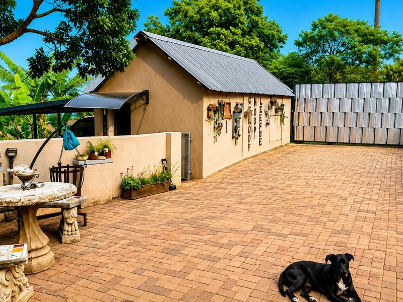 A paved rear courtyard area featuring a detached outbuilding with a corrugated metal roof and secure metal gate access.