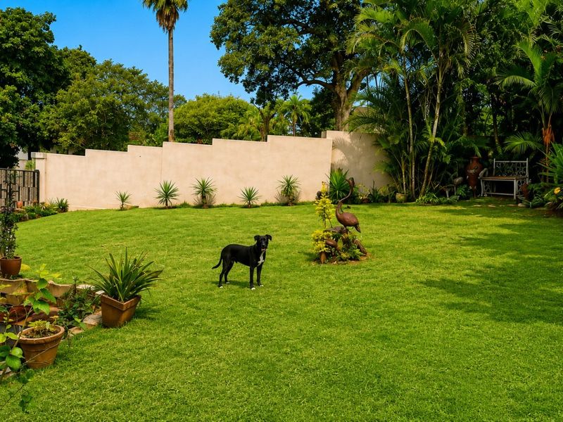 A well-maintained, spacious private garden featuring a lush green lawn, mature trees, and a solid perimeter wall for privacy.