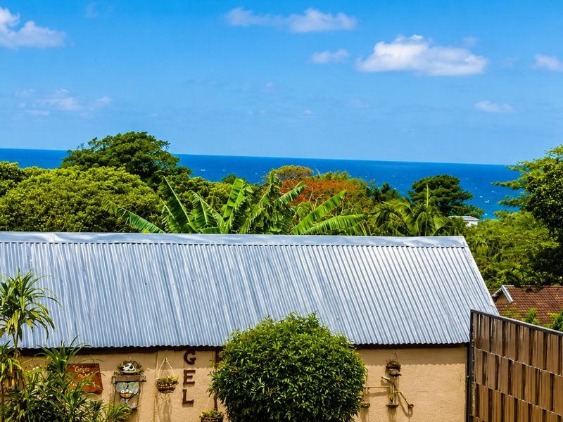 A scenic elevated view overlooking lush tropical greenery and the ocean, featuring a corrugated metal roof in the foreground.