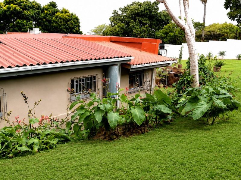 Rear view of the property featuring a corrugated metal roof, security bars on windows, and a spacious garden area with a boundary wall.