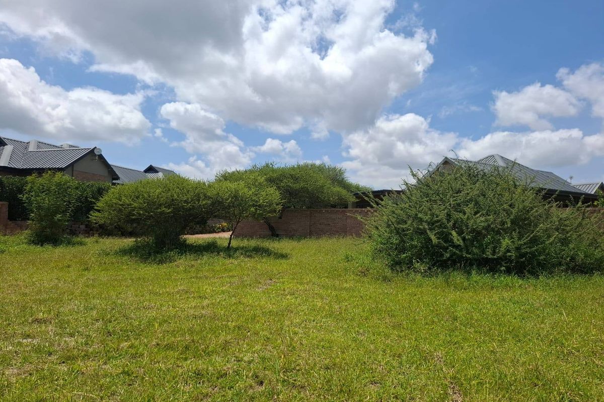 A vacant residential plot featuring established trees and a brick boundary wall, offering a clear space for potential development.