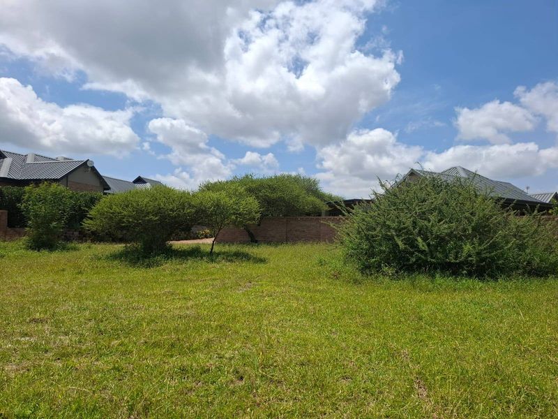 A vacant residential plot featuring established trees and a brick boundary wall, offering a clear space for potential development.