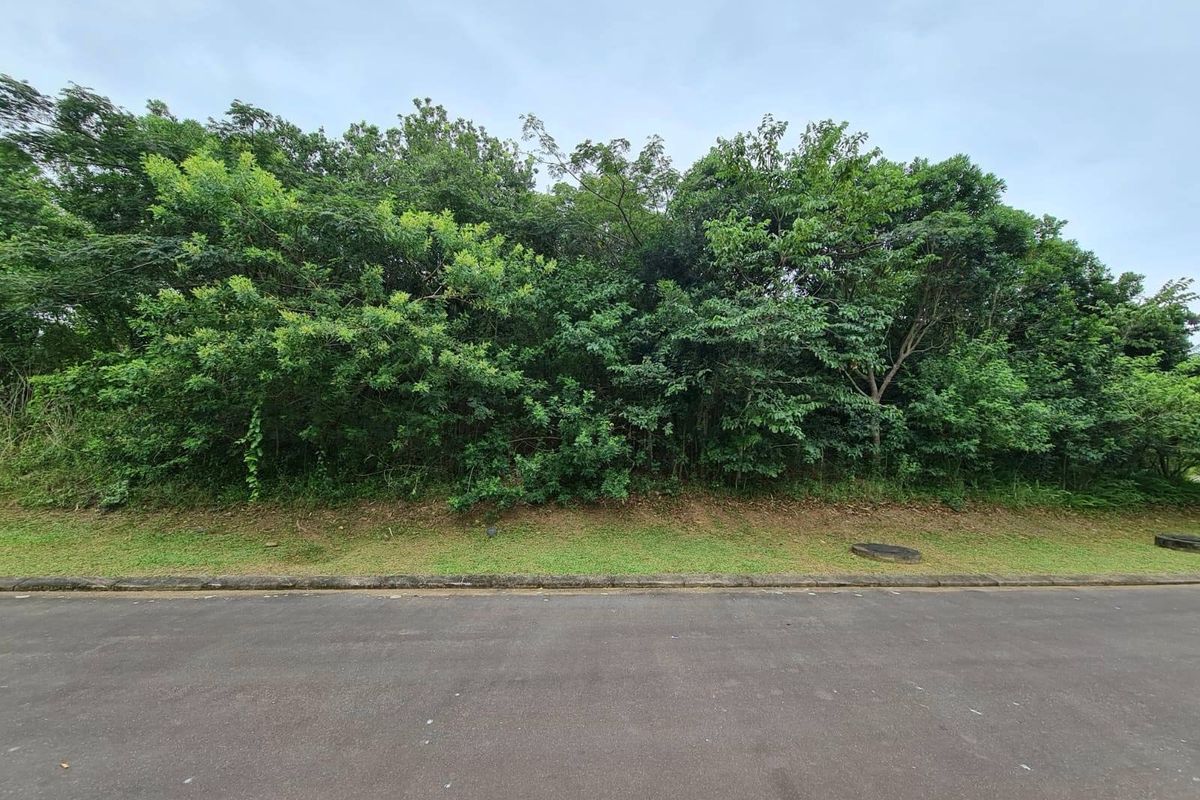 A street-level view of a vacant residential plot featuring established trees and vegetation along the roadside boundary.