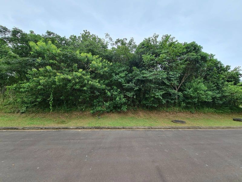A street-level view of a vacant residential plot featuring established trees and vegetation along the roadside boundary.