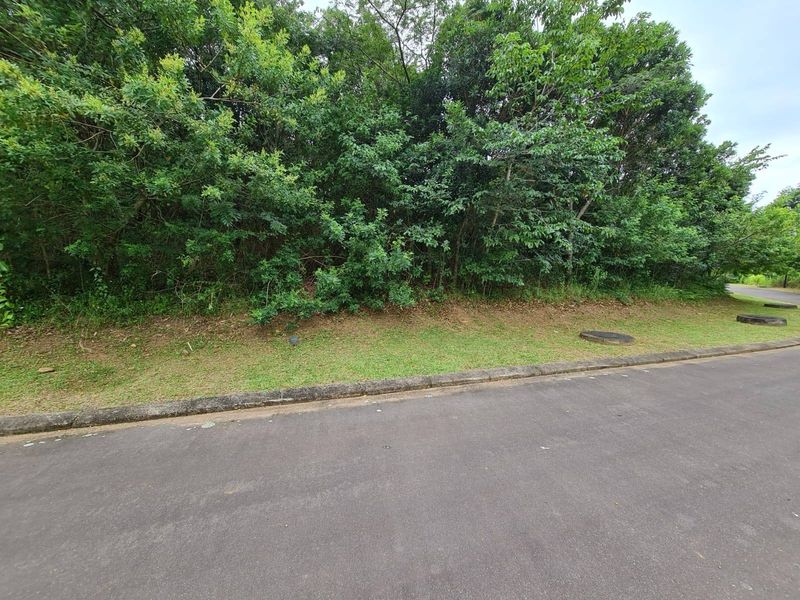 A view of a vacant residential plot featuring established trees, a paved road frontage, and concrete curbing.