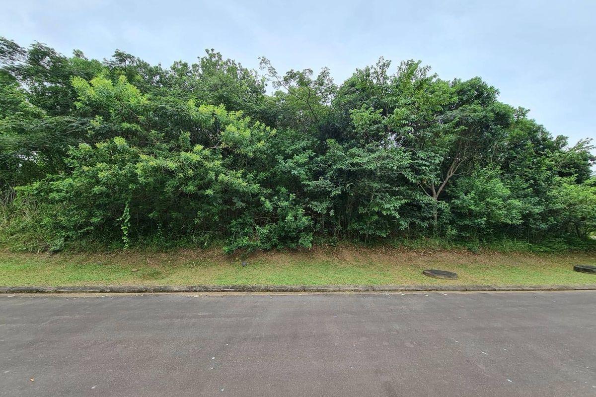 A street-level view of a vacant residential plot featuring established trees and vegetation along the roadside boundary.