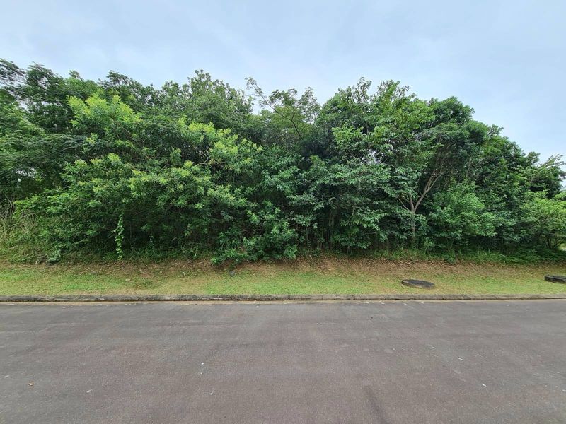 A street-level view of a vacant residential plot featuring established trees and vegetation along the roadside boundary.