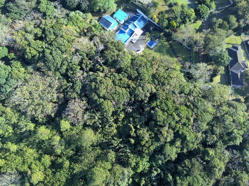 An aerial view of a residential plot featuring dense, mature vegetation and established tree cover, providing a natural and secluded setting.
