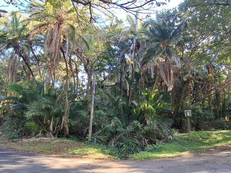 A vacant residential plot featuring dense mature vegetation and trees, situated at a street corner with access to utility infrastructure.